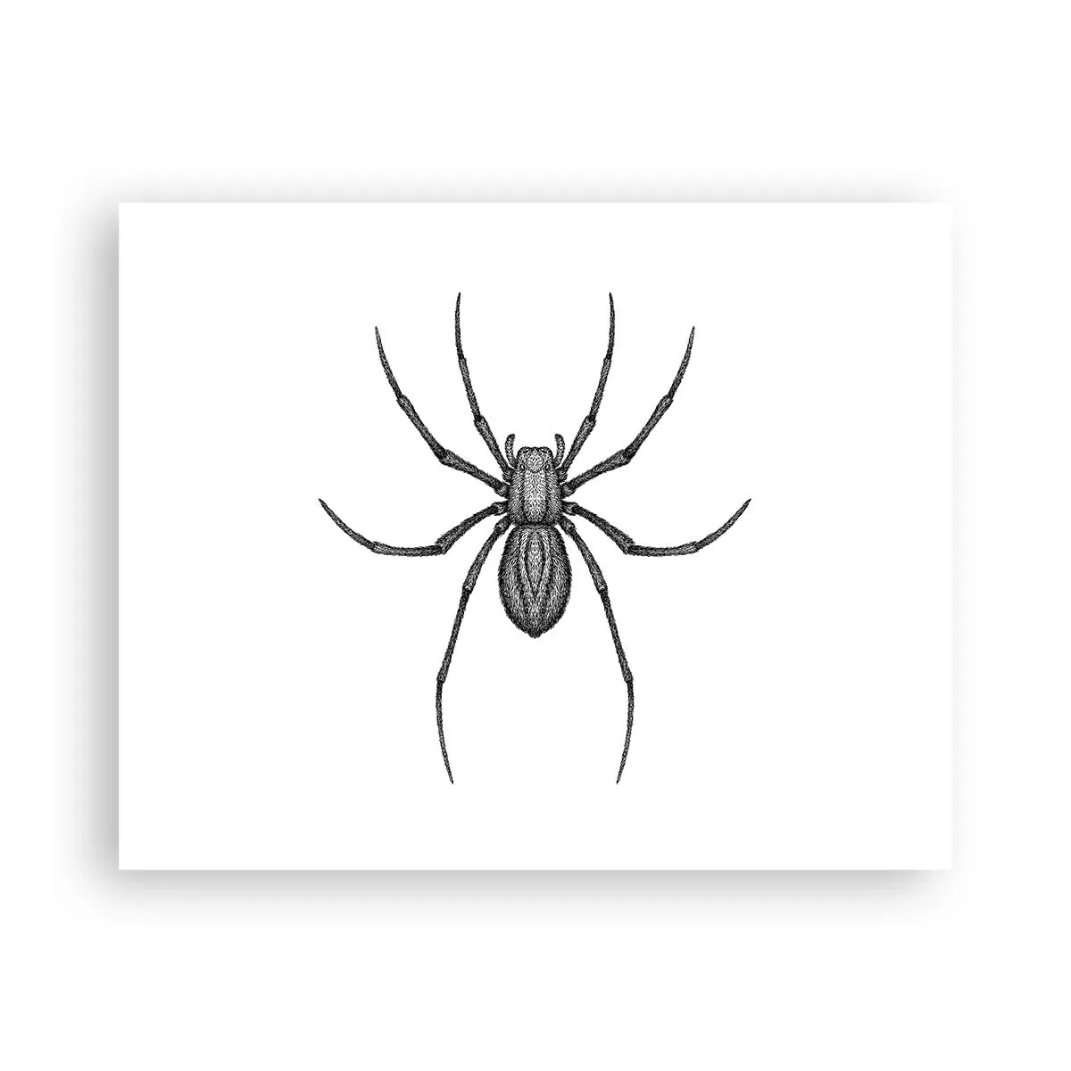 Poster - Beunruhigende Präzision - 50x40 cm