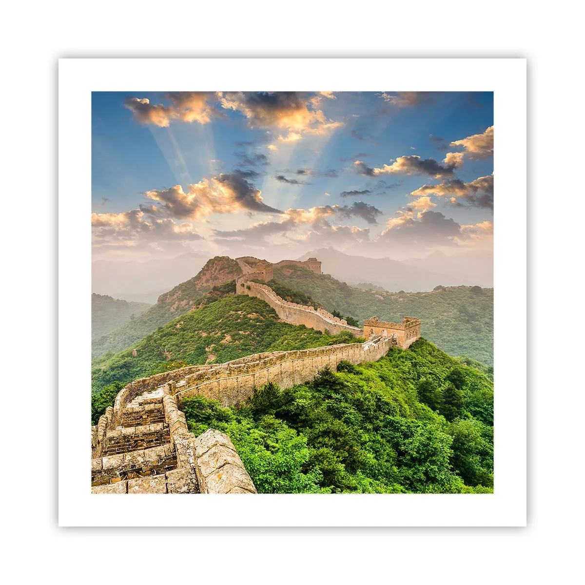 Poster - Ewige Größe - 50x50 cm