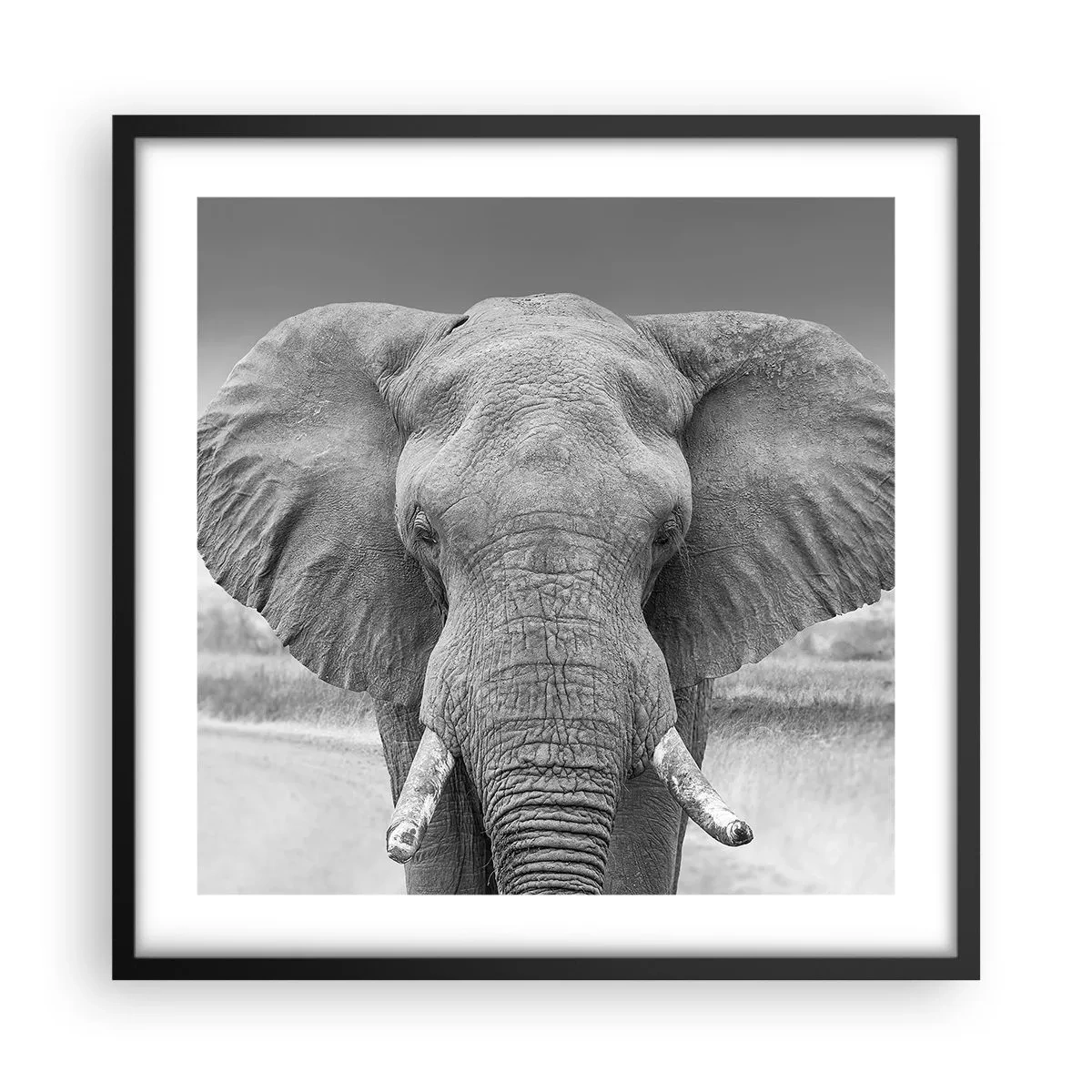 Poster in einem schwarzem Rahmen - Willkommen in meiner Welt - 50x50 cm