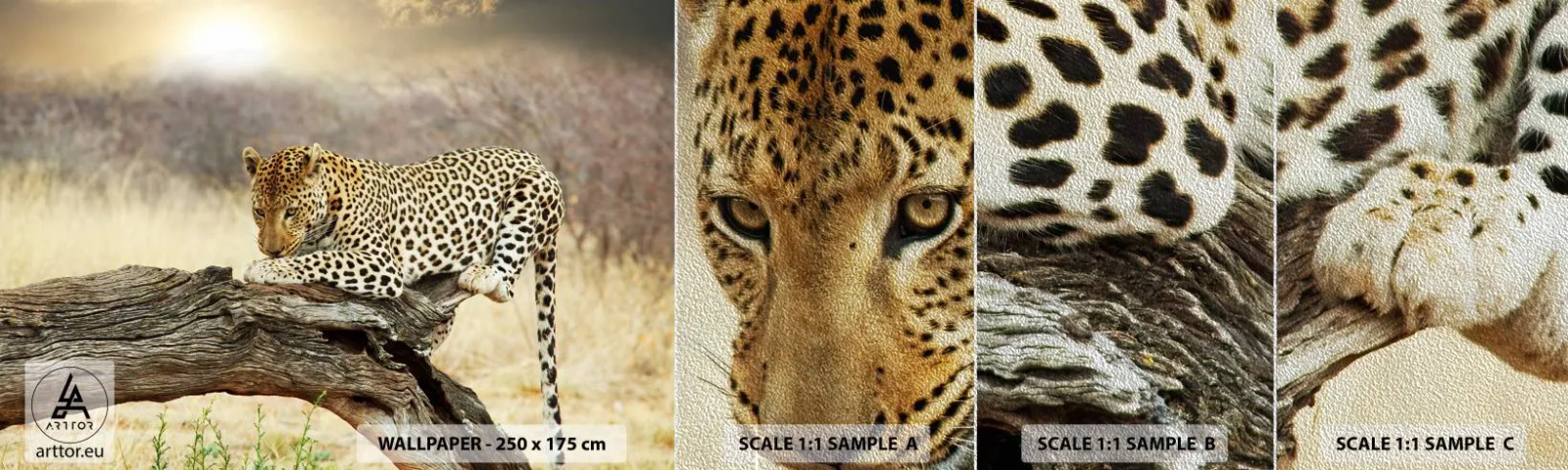 Fototapeten Muster Premium Sand - Ich gehe meine eigenen Wege - Tiere, Leopard, Afrika - 100x30 cm