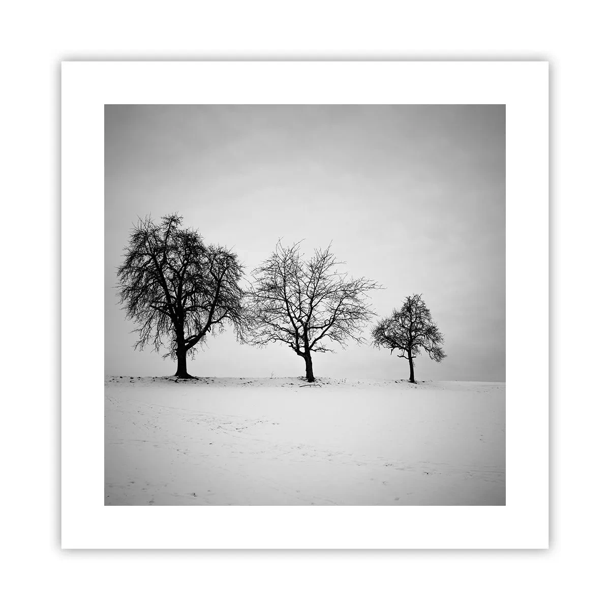 Poster - Wovon träumen sie? - 40x40 cm