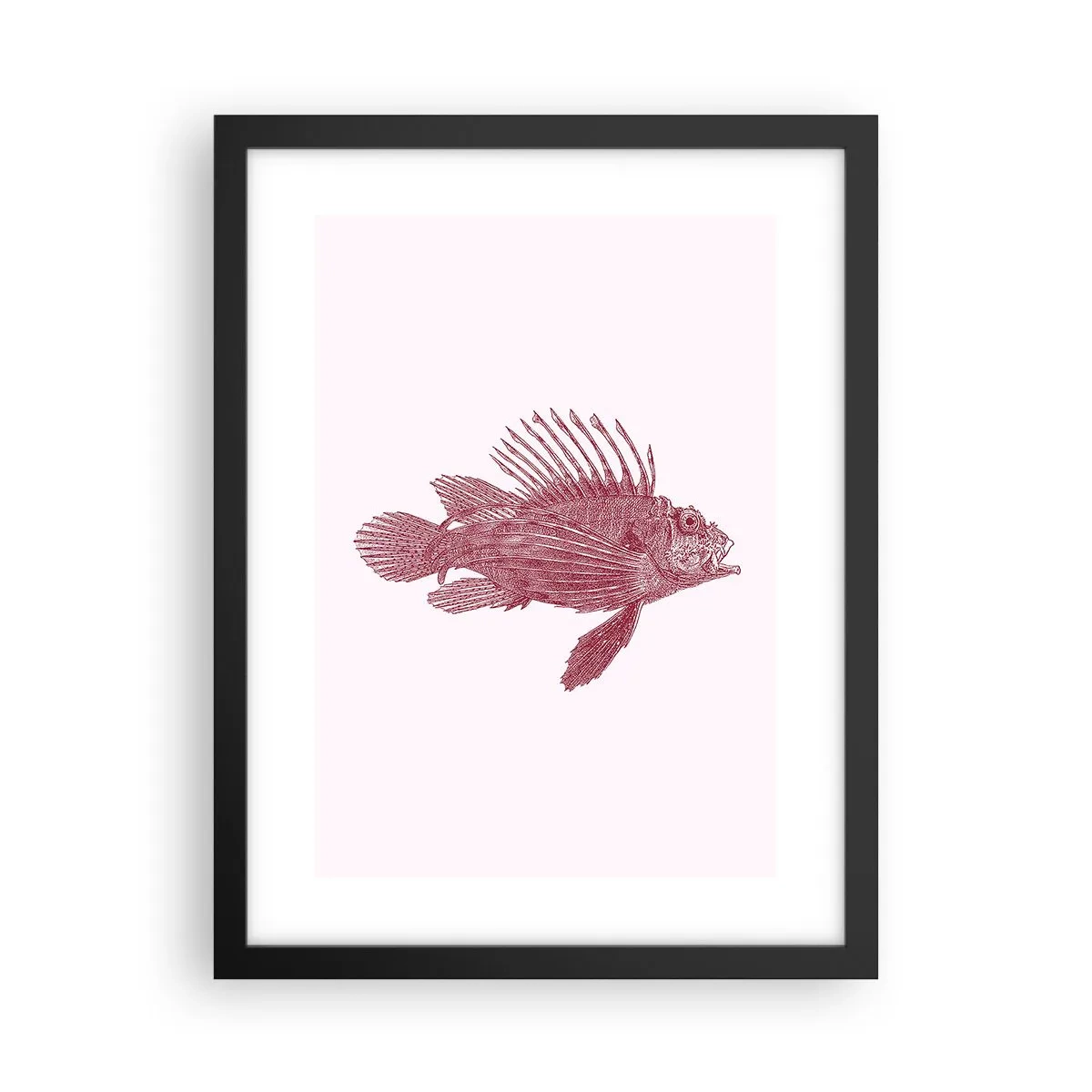 Poster in einem schwarzem Rahmen - Bewohner exotischer Gewässer - 30x40 cm