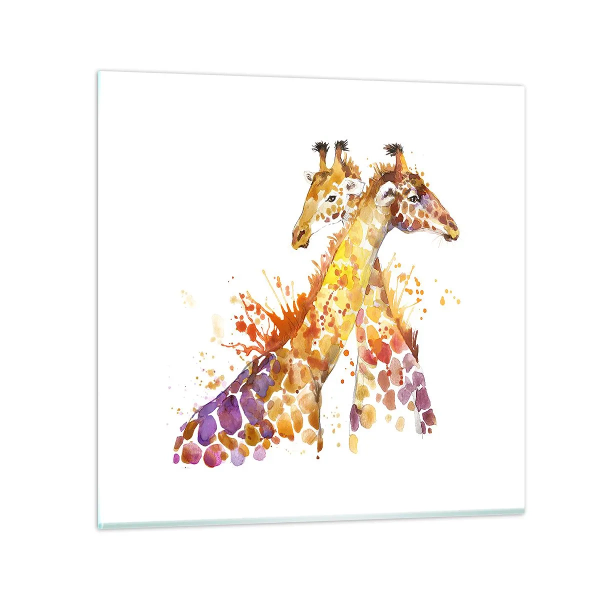 Glasbild - Bild auf glas - Ist es Freundschaft oder ist es Baby? - 70x70 cm