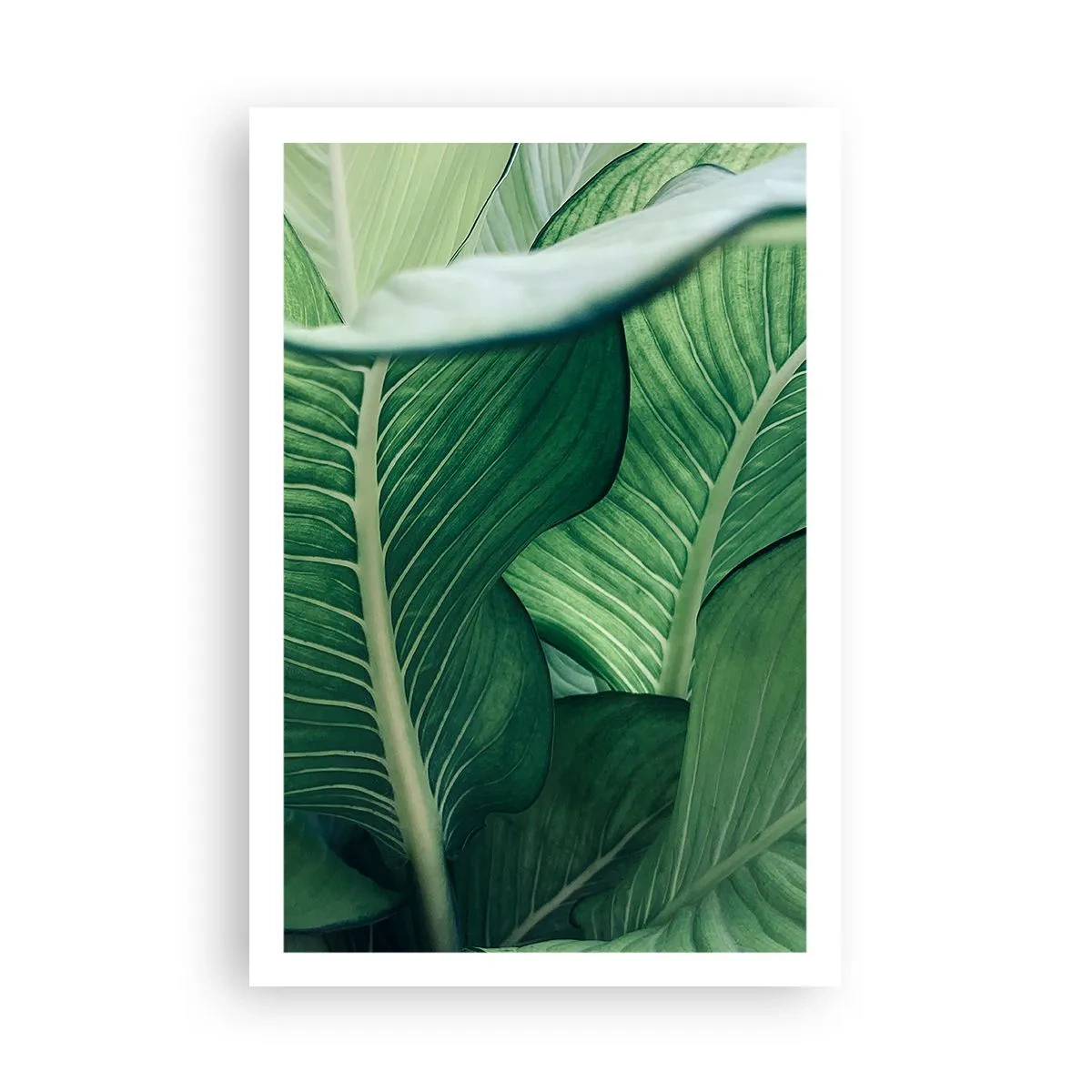 Poster - Intensiv grünes Leben - 61x91 cm