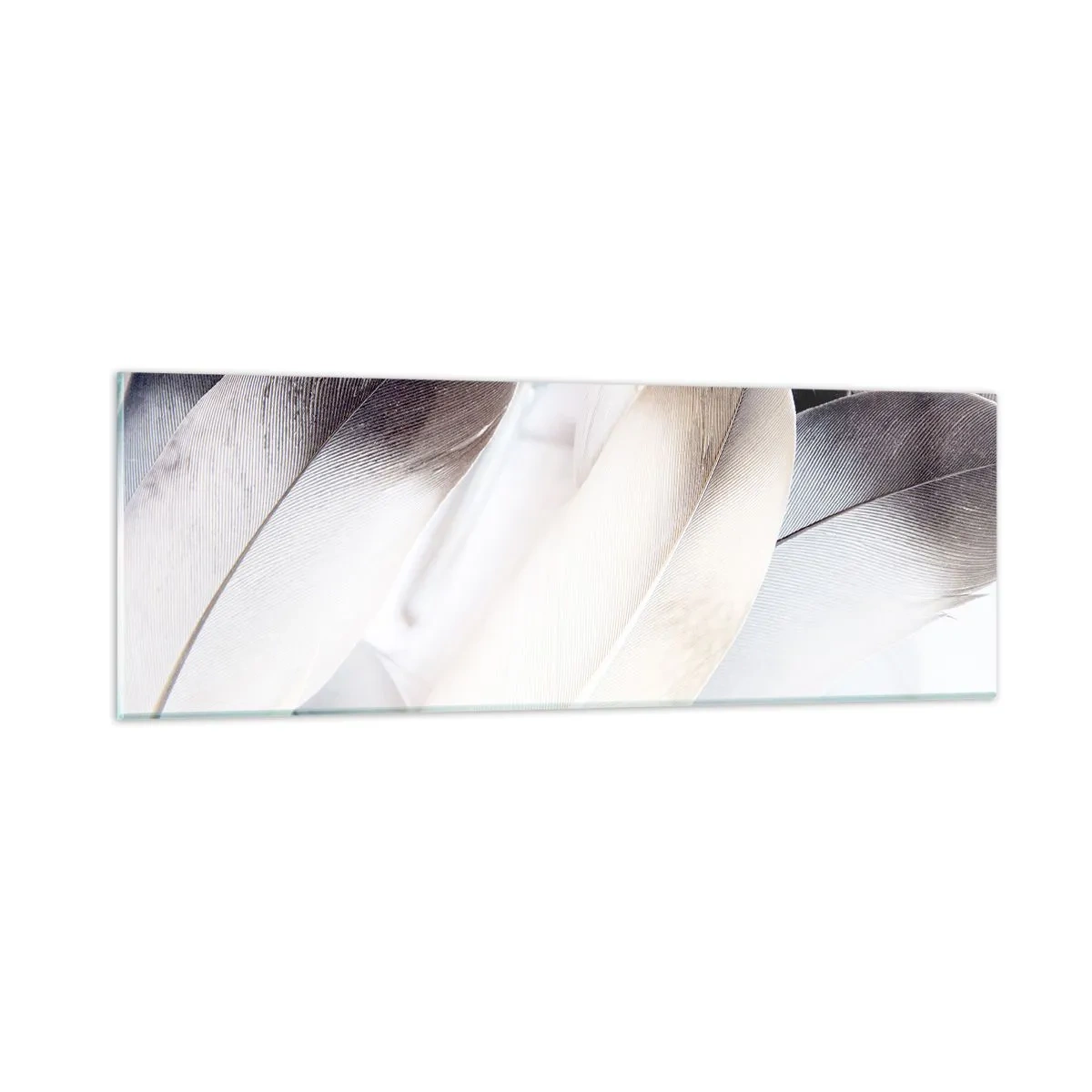 Glasbild - Bild auf glas - Fast engelhaft - 90x30 cm
