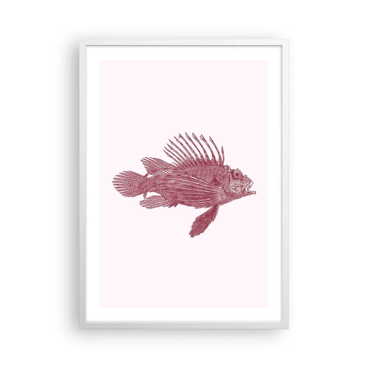 Poster in einem weißen Rahmen - Bewohner exotischer Gewässer - 50x70 cm