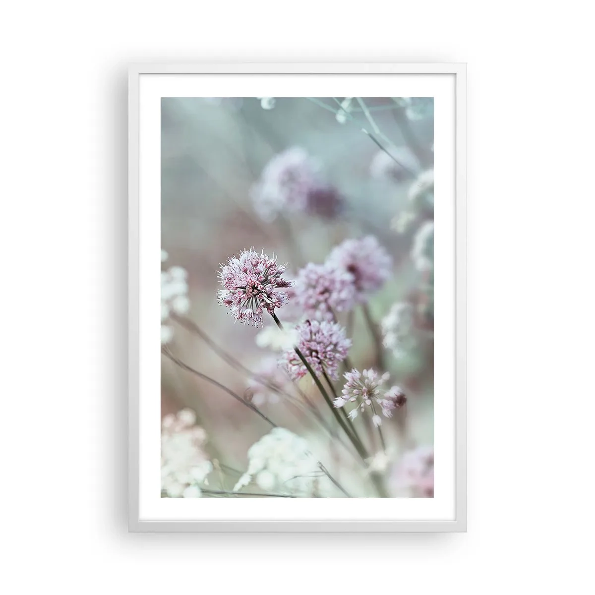 Poster in einem weißen Rahmen - Süße filigrane Kräuter - 50x70 cm