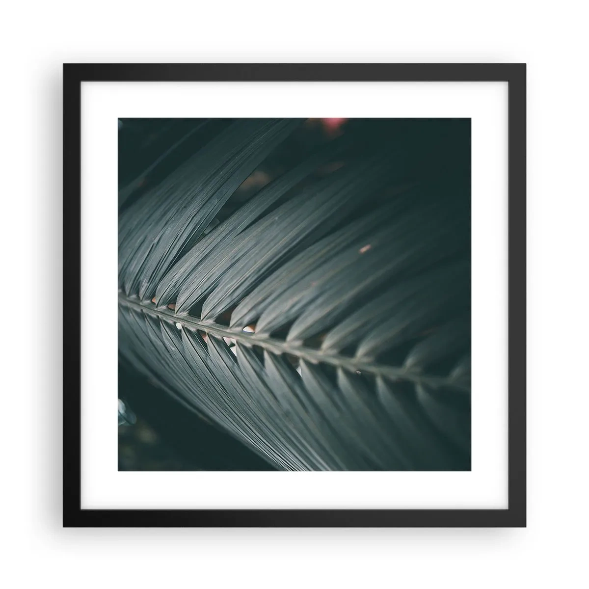 Poster in einem schwarzem Rahmen - Die Präzision der Natur - 40x40 cm