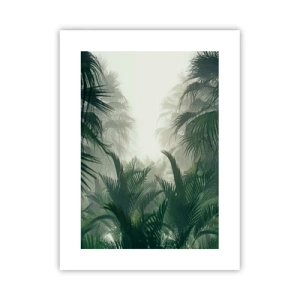 Poster - Tropisches Geheimnis - 30x40 cm