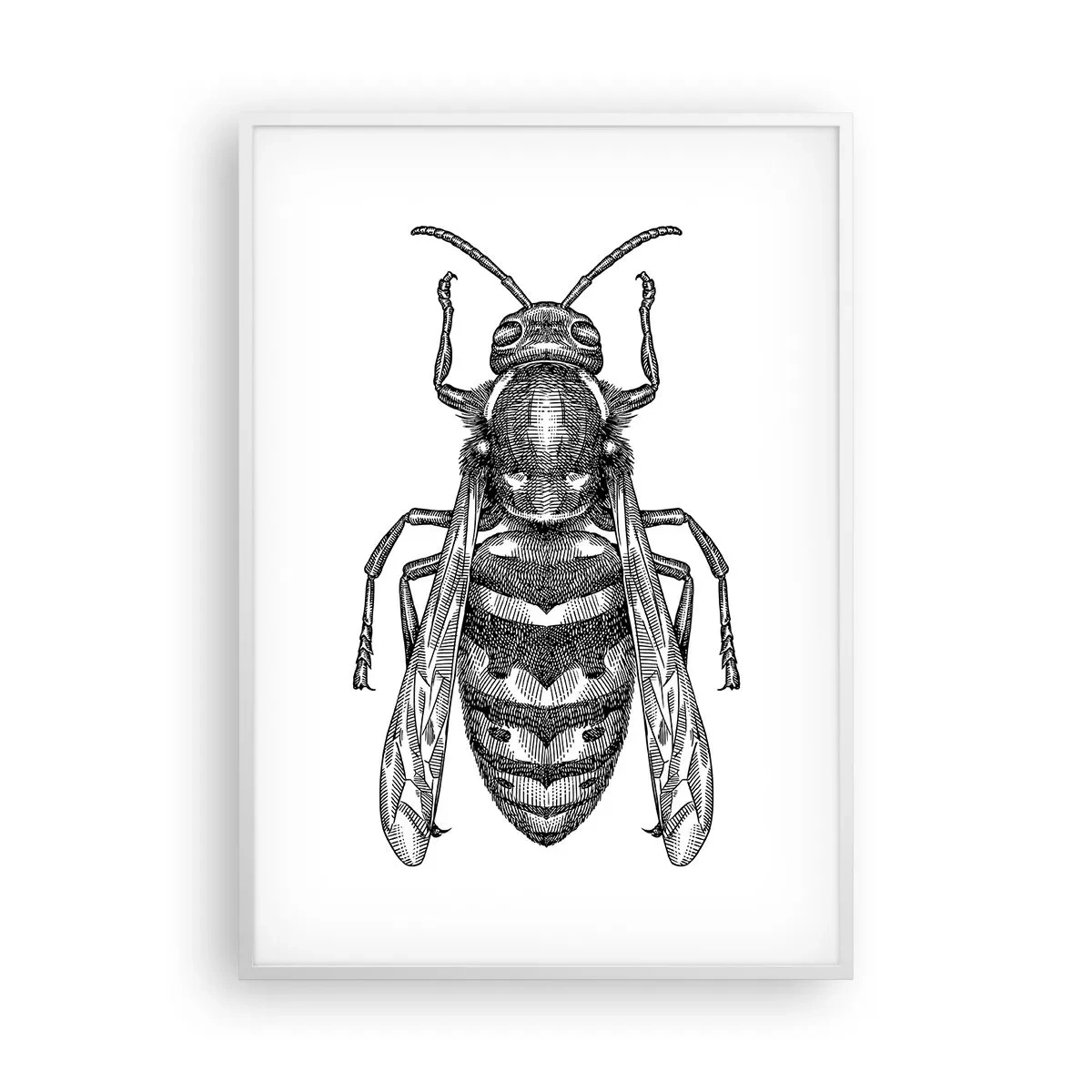 Poster in einem weißen Rahmen - Von einem Insektenplaneten - 70x100 cm
