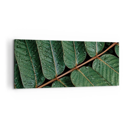 Bild auf Leinwand - Leinwandbild - Makroaufnahme von grünen Blättern mit Tautropfen - 120x50cm - Im grünen Rhythmus - Moderne Wanddekoration für Wohnzimmer und Schlafzimmer ARTTOR