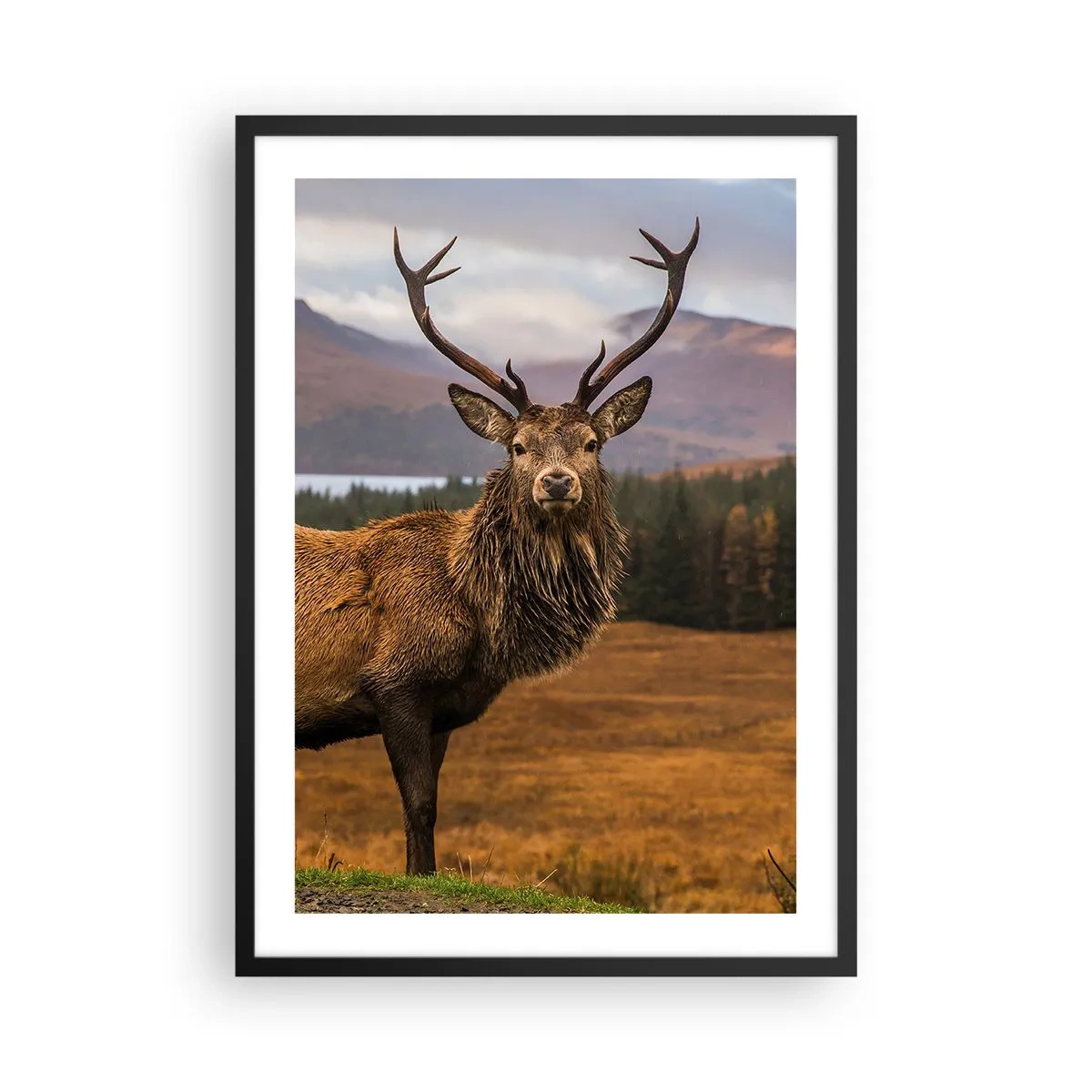 Poster in einem schwarzem Rahmen - Fotografie eines Hirsches vor einer Berglandschaft - 50x70cm - Die Majestät der Natur - Moderne Wanddekoration für Wohnzimmer und Schlafzimmer ARTTOR