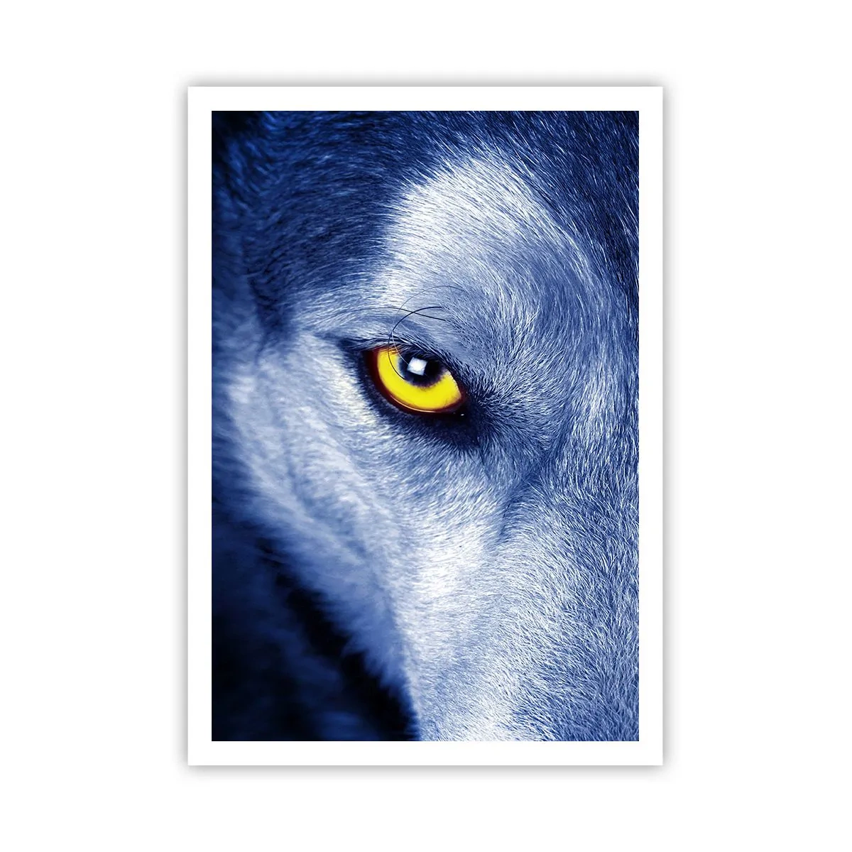 Poster - Faszinierender Blick - 70x100 cm