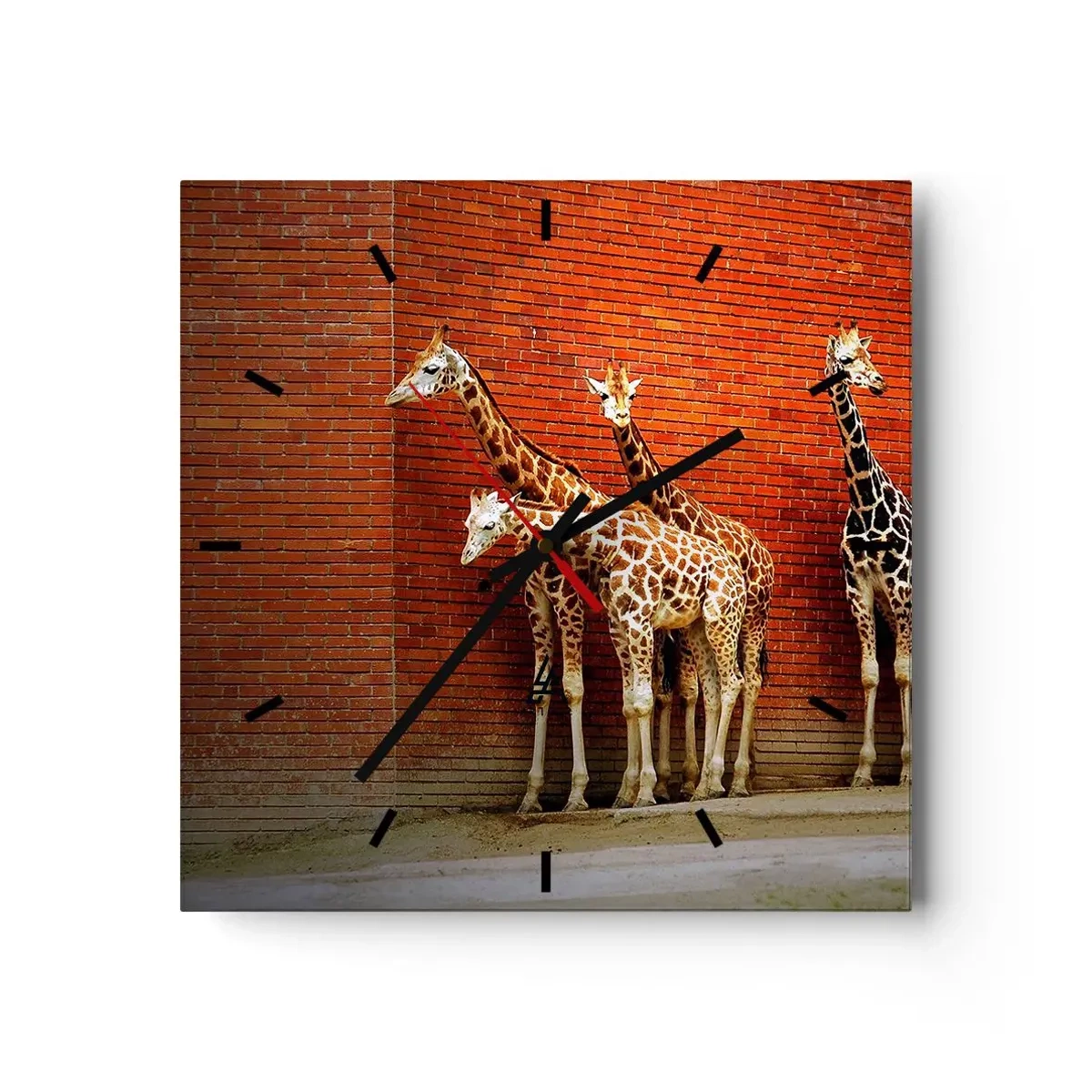 Wanduhr - Glasuhr - Sehen Sie Akazien? - 40x40 cm