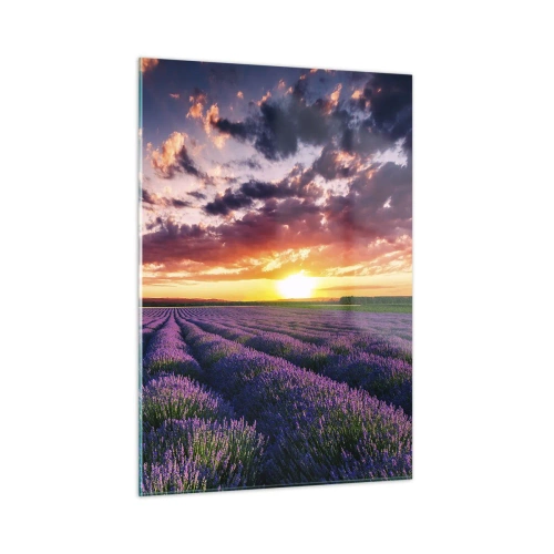 Glasbild - Bild auf glas - Ein Lavendelfeld bei Sonnenuntergang mit buntem Himmel und Wolken - 50x70cm - Lavendel Welt - Moderne Wanddekoration für Wohnzimmer und Schlafzimmer ARTTOR