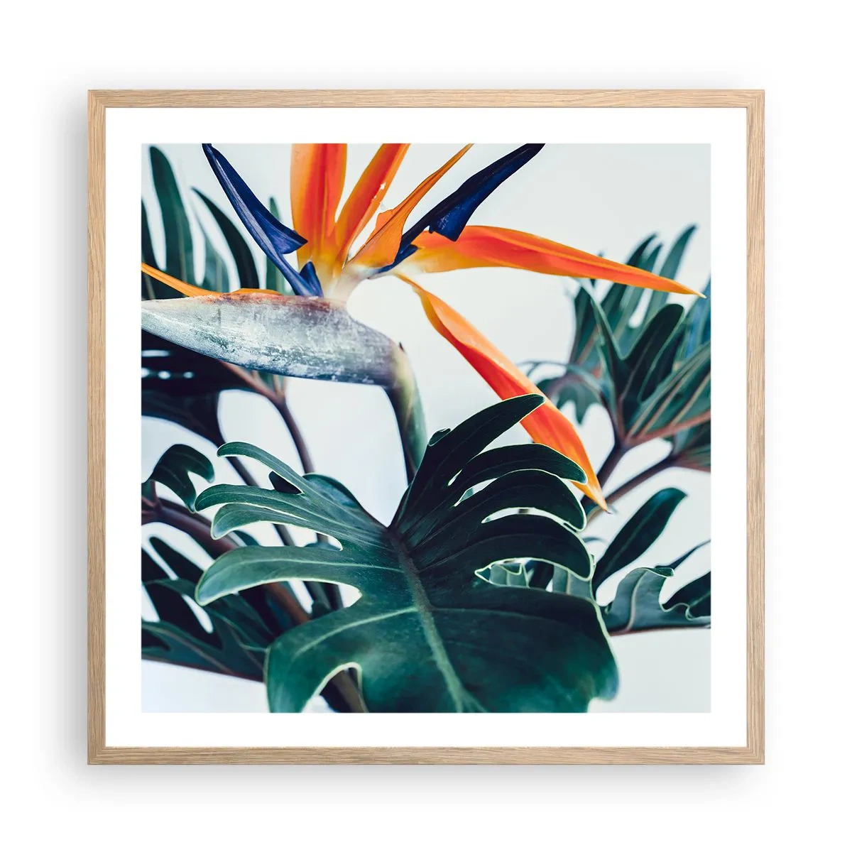 Poster in einem Rahmen aus heller Eiche - Vogelbusch - 60x60 cm