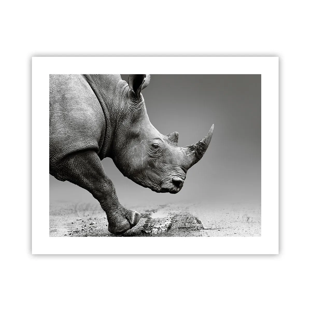 Poster - Unaufhaltsame Stärke - 50x40 cm