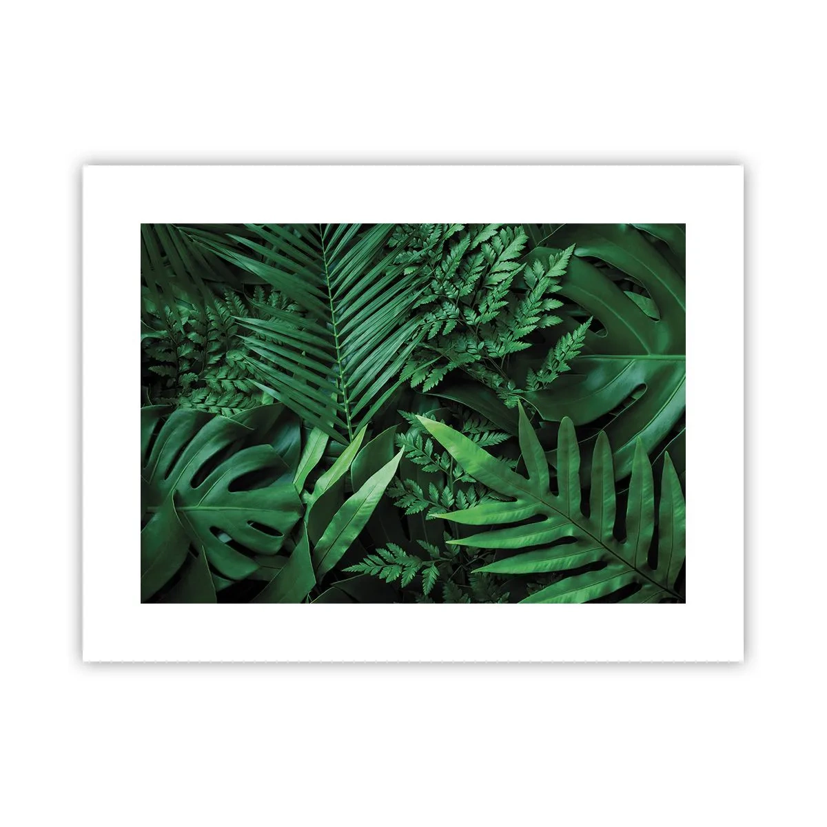 Poster - Eingebettet ins Grüne - 40x30 cm