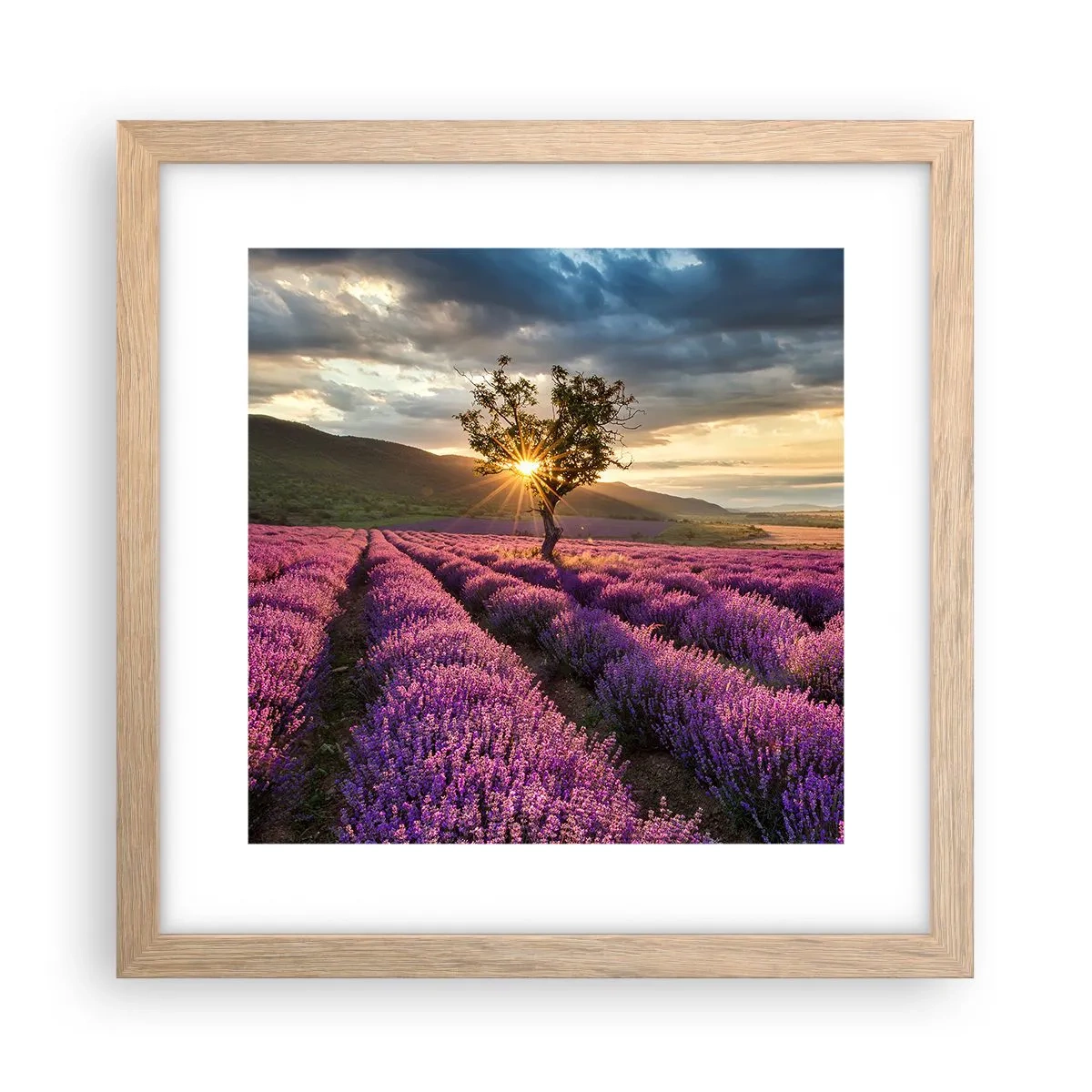 Poster in einem Rahmen aus heller Eiche - Fliederfarbenes Aroma - 30x30 cm