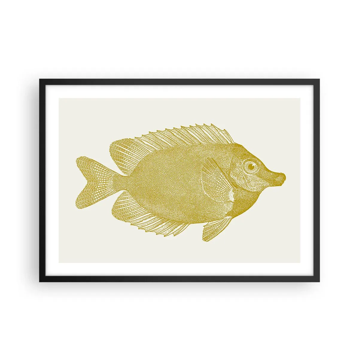 Poster in einem schwarzem Rahmen - Vintage Goldfisch auf hellem Hintergrund - 70x50cm - Fisch und das war’s - Moderne Wanddekoration für Wohnzimmer und Schlafzimmer ARTTOR