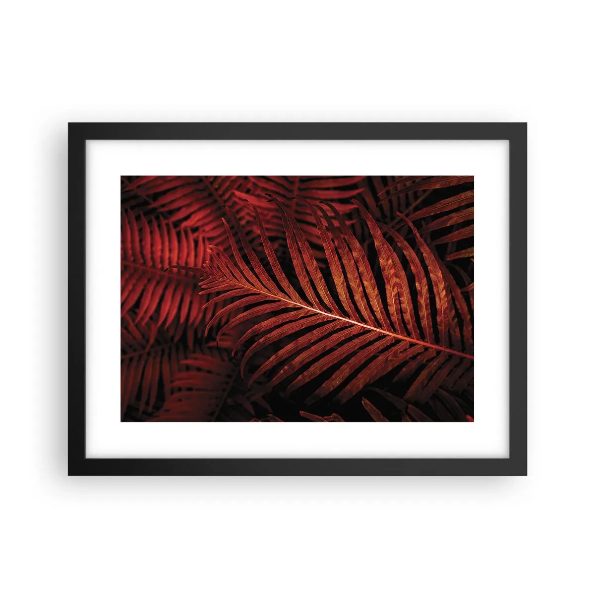 Poster in einem schwarzem Rahmen - Die Hitze des Lebens - 40x30 cm