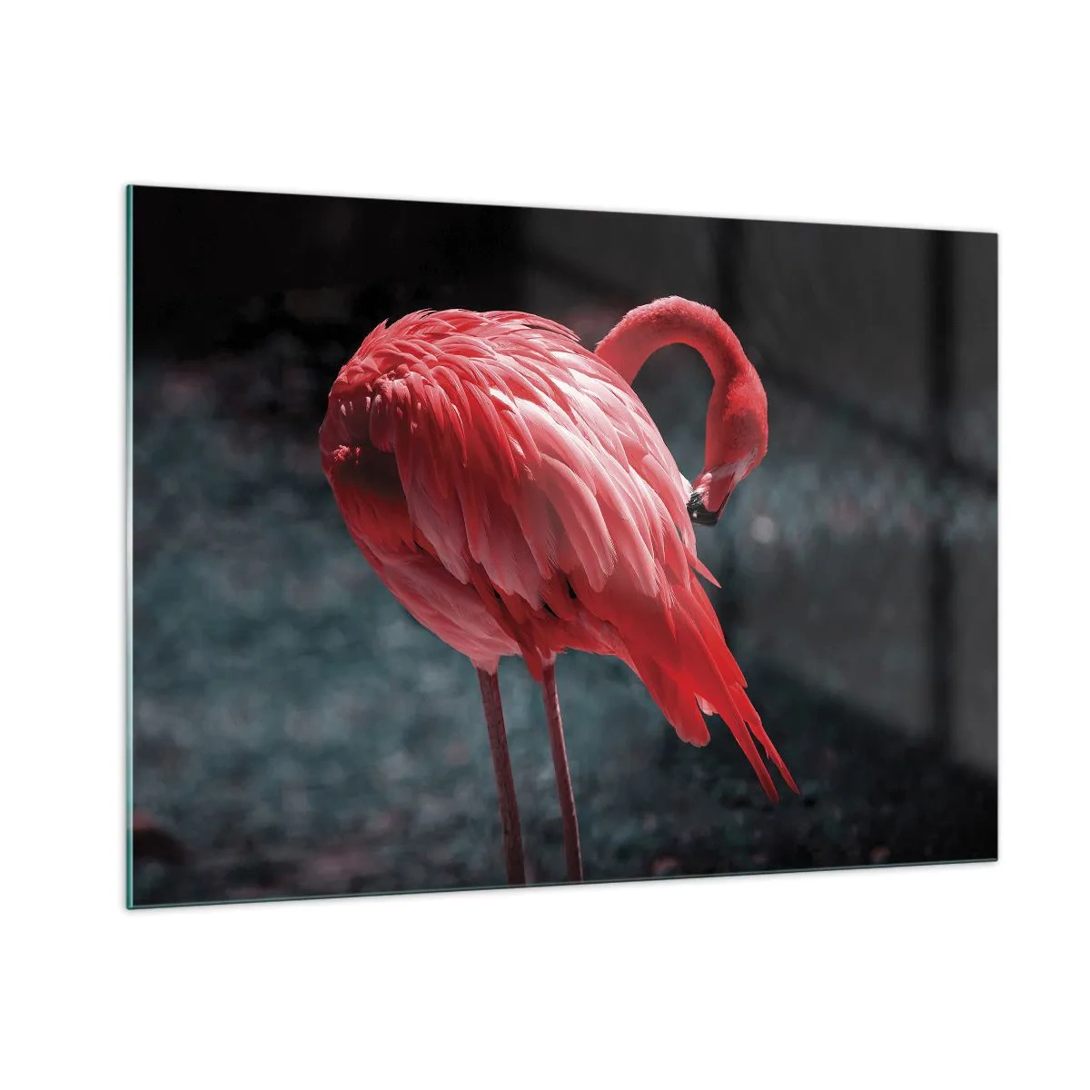Glasbild - Bild auf glas - Ein Flamingo in intensiven Rottönen auf dunklem Hintergrund - 100x70cm - Ein purpurrotes Gedicht der Natur - Moderne Wanddekoration für Wohnzimmer und Schlafzimmer ARTTOR
