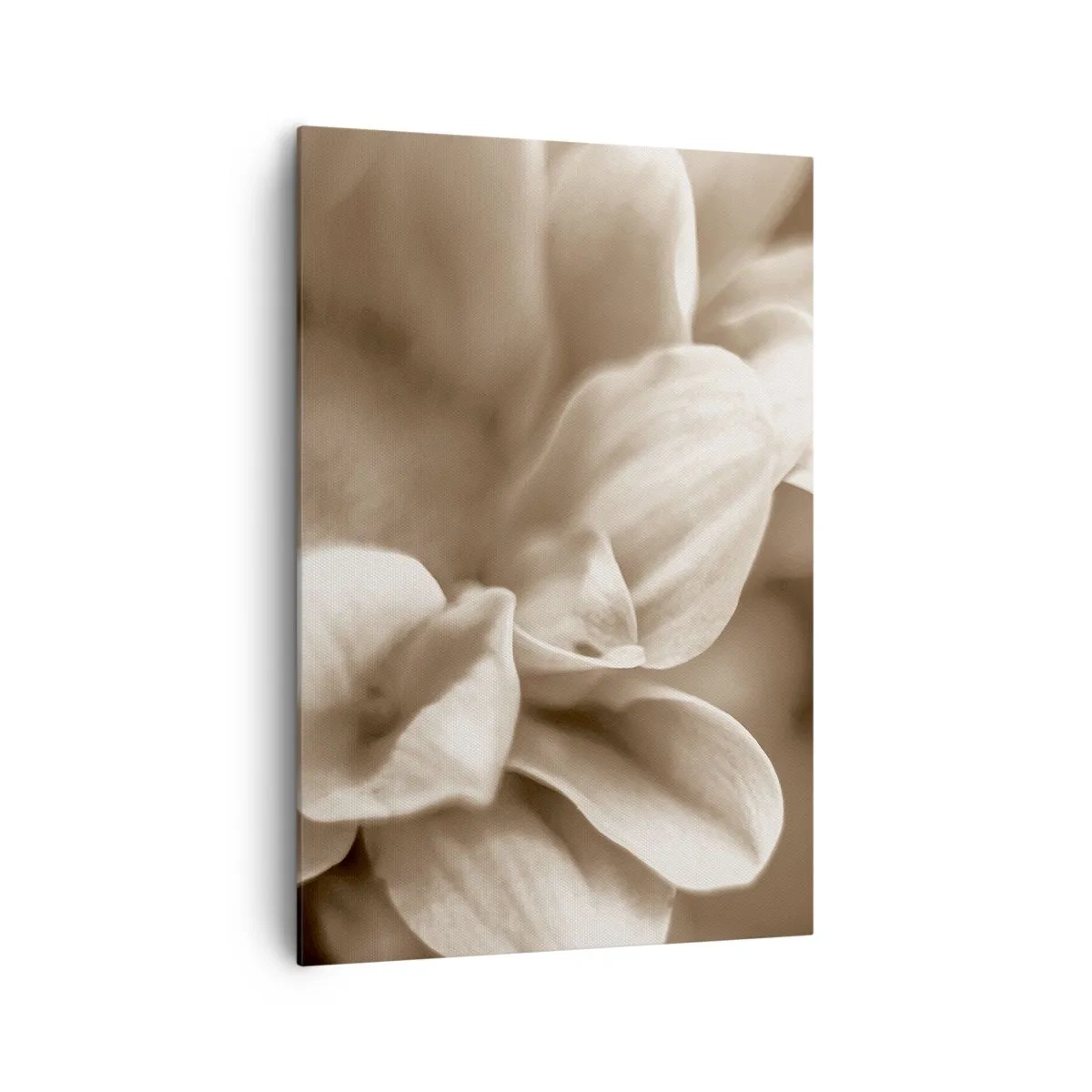 Bild auf Leinwand - Leinwandbild - Nahaufnahme von Blüten in zartem Sepia-Ton mit weichen Konturen - 70x100cm - So sanft wie ein Lächeln - Moderne Wanddekoration für Wohnzimmer und Schlafzimmer ARTTOR