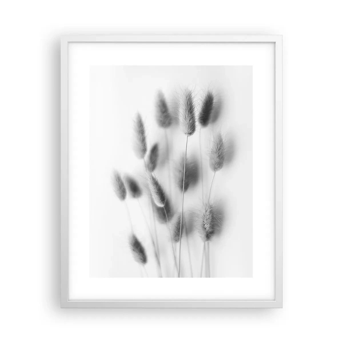 Poster in einem weißen Rahmen - Eure flauschige Grashoheit - 40x50 cm