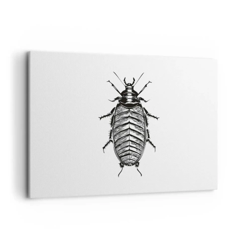 Bild auf Leinwand - Leinwandbild - Grafik eines schwarz-weißen Insekts auf weißem Hintergrund - 100x70cm - Was für ein Exemplar! - Moderne Wanddekoration für Wohnzimmer und Schlafzimmer ARTTOR
