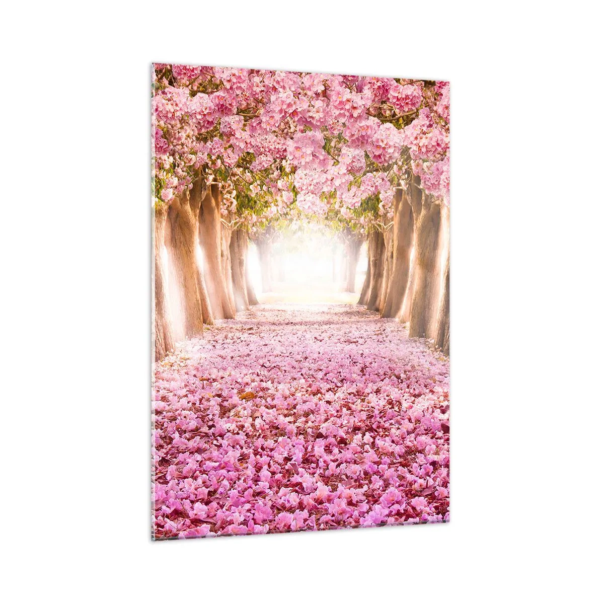Glasbild - Bild auf glas - Eine Allee blühender Bäume mit rosa Blütenblättern auf dem Boden - 50x70cm - Der Weg ins Paradies - Moderne Wanddekoration für Wohnzimmer und Schlafzimmer ARTTOR