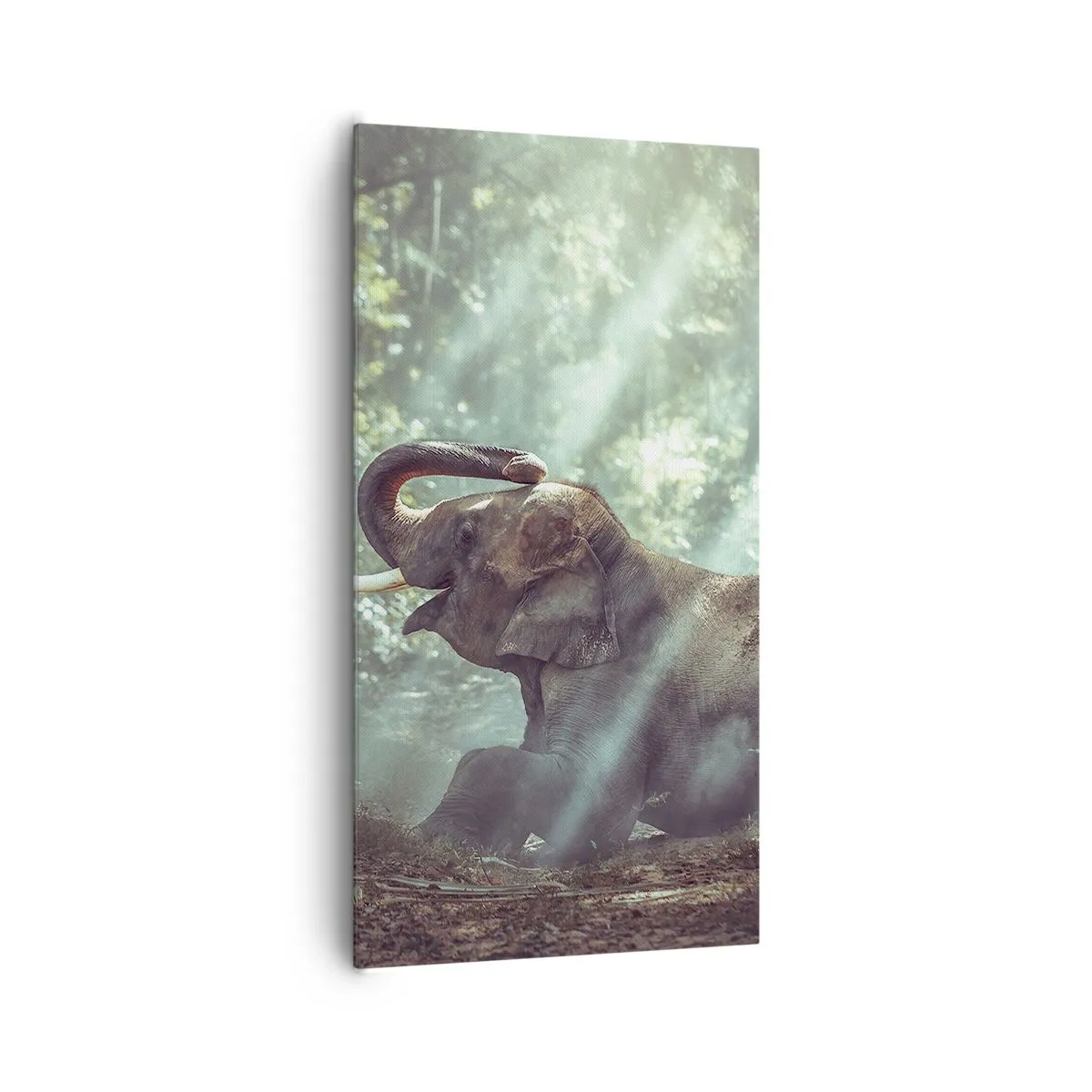 Bild auf Leinwand - Leinwandbild - Und hör dir das an... - 65x120 cm