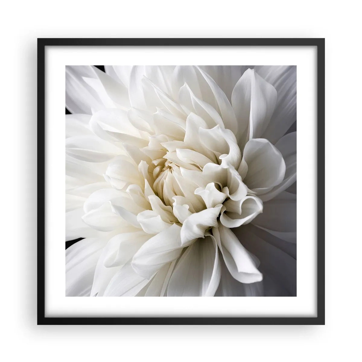Poster in einem schwarzem Rahmen - Der Morgen der Braut - 50x50 cm