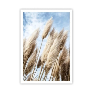 Poster - Sonnige und windige Liebkosungen - 70x100 cm