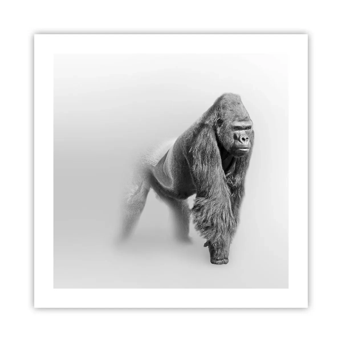 Poster - Zuversichtlich in seiner Stärke - 50x50 cm