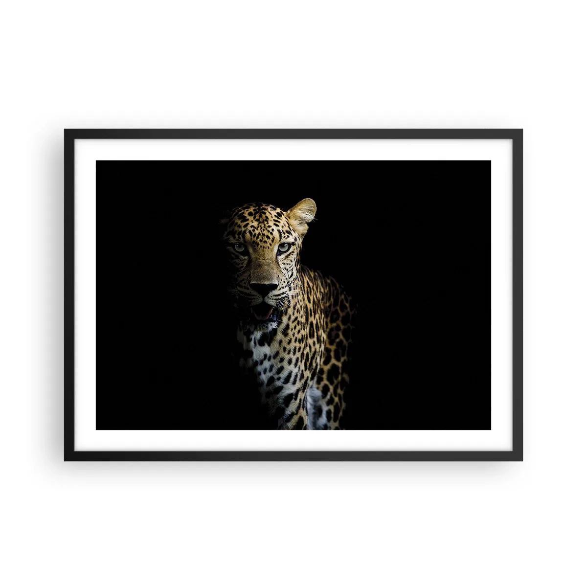 Poster in einem schwarzem Rahmen - Ein Leopard auf dunklem Hintergrund mit intensivem Blick - 70x50cm - Dunkle Schönheit - Moderne Wanddekoration für Wohnzimmer und Schlafzimmer ARTTOR