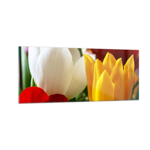 Glasbild - Bild auf glas - Tulpenfieber - 100x40 cm