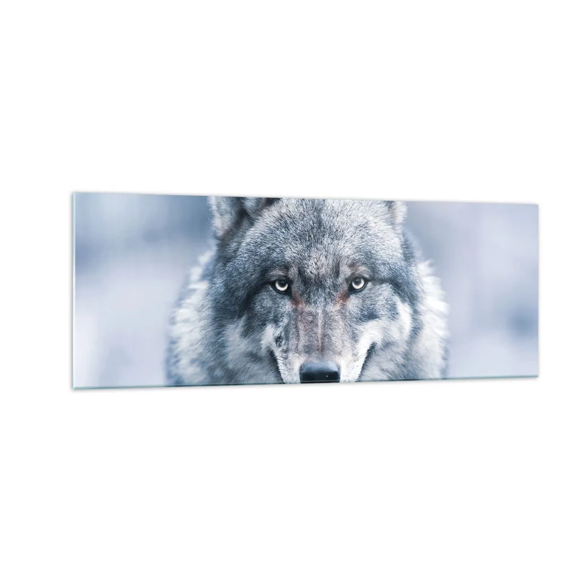 Glasbild - Bild auf glas - Ein Wolf mit intensivem Blick in einer Winterlandschaft - 140x50cm - Werden Sie die Herausforderung annehmen? - Moderne Wanddekoration für Wohnzimmer und Schlafzimmer ARTTOR
