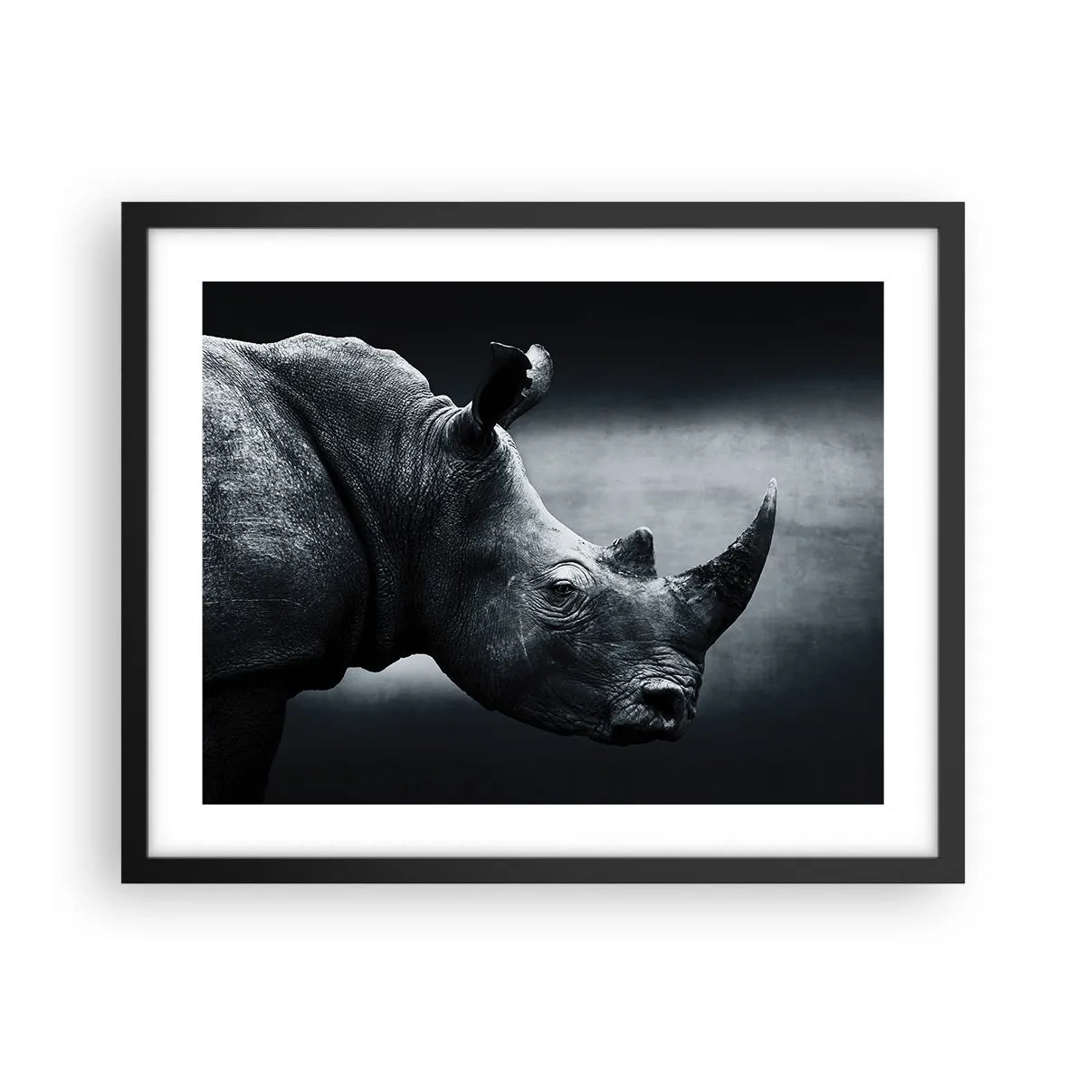 Poster in einem schwarzem Rahmen - Richtiges Profil - 50x40 cm