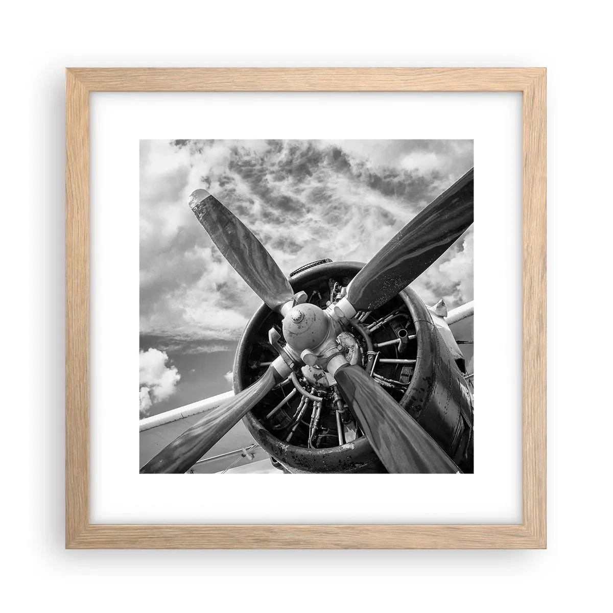 Poster in einem Rahmen aus heller Eiche - Eroberer der Lüfte - 30x30 cm