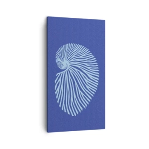 Bild auf Leinwand - Leinwandbild - Geburt der Muschel - 45x80 cm