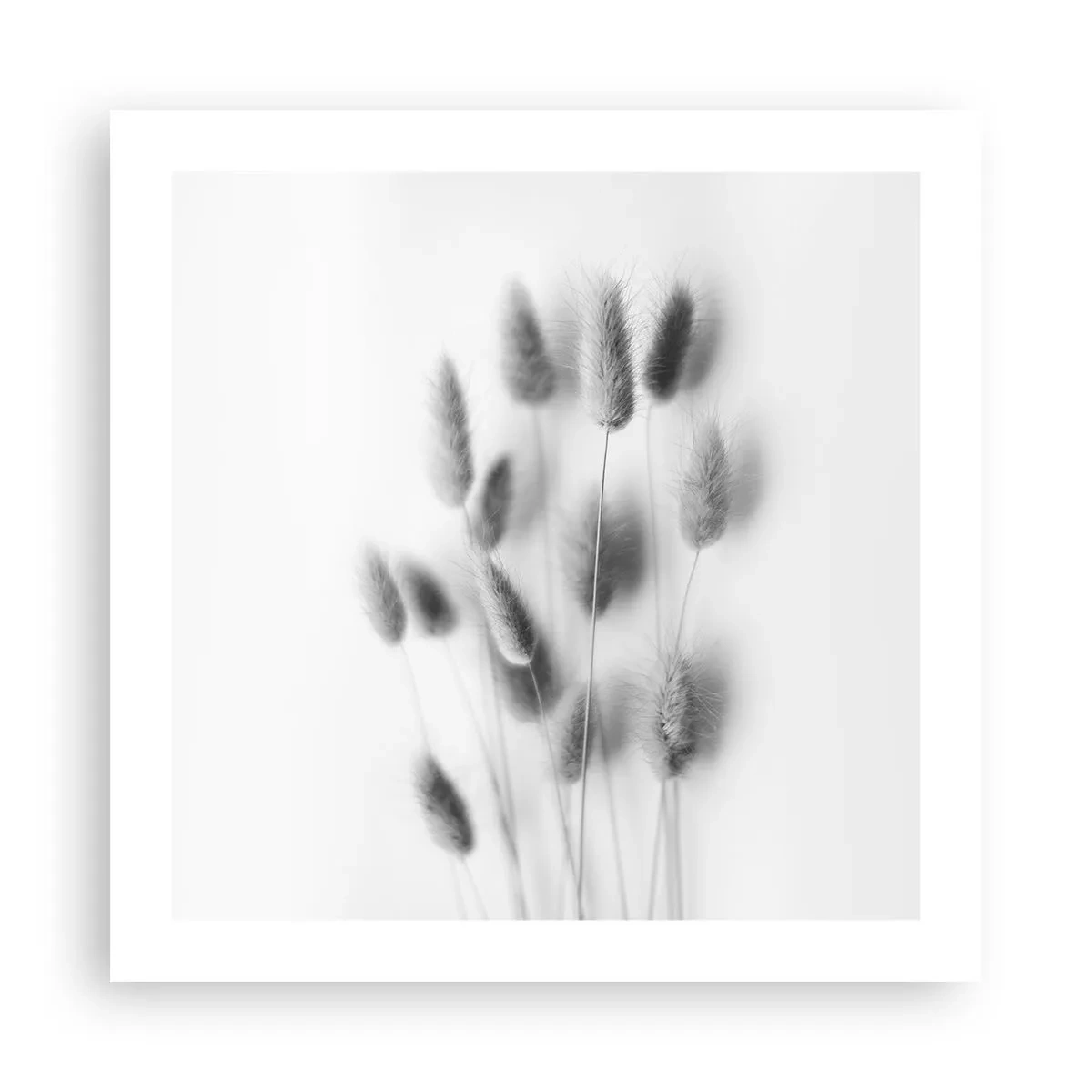 Poster - Eure flauschige Grashoheit - 50x50 cm