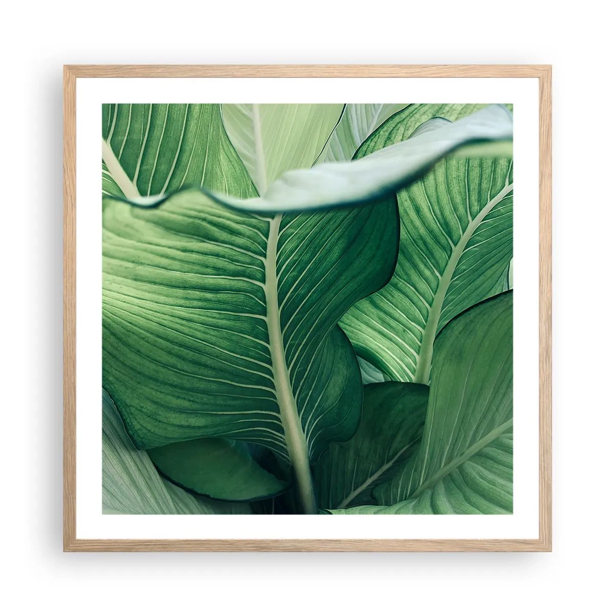 Poster in einem Rahmen aus heller Eiche - Intensiv grünes Leben - 60x60 cm