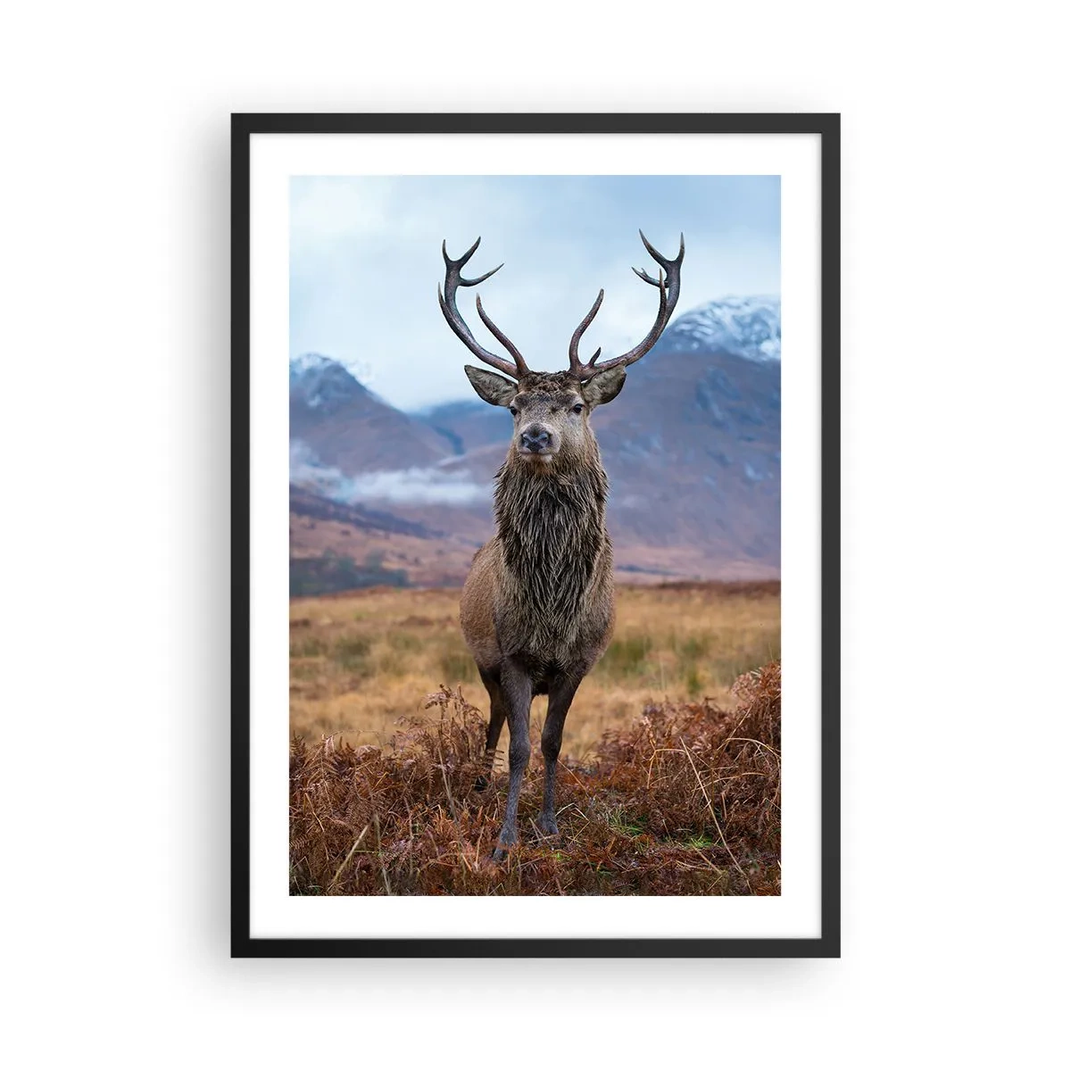 Poster in einem schwarzem Rahmen - Ein stolzer Hirsch vor einer Bergkulisse - 50x70cm - Auf eigenem Land - Moderne Wanddekoration für Wohnzimmer und Schlafzimmer ARTTOR