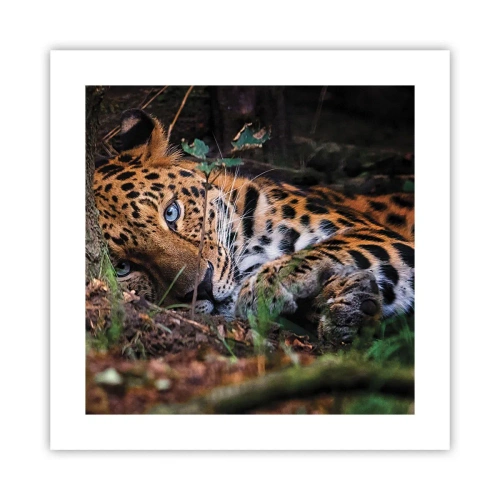 Poster - Vertrau mir - 40x40 cm