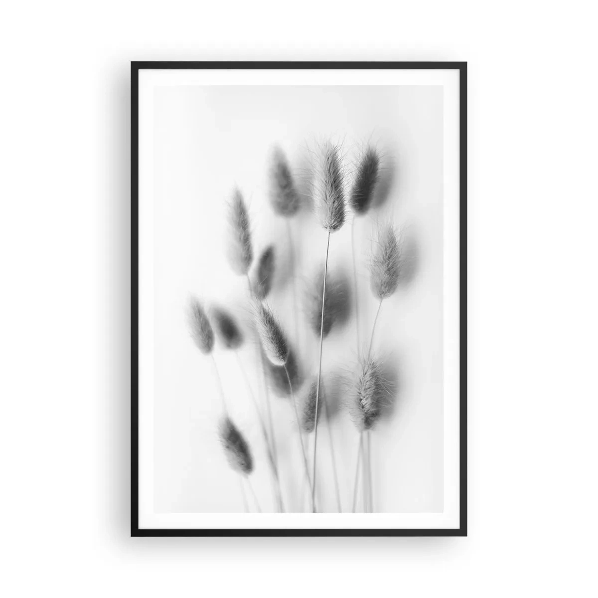 Poster in einem schwarzem Rahmen - Eure flauschige Grashoheit - 70x100 cm