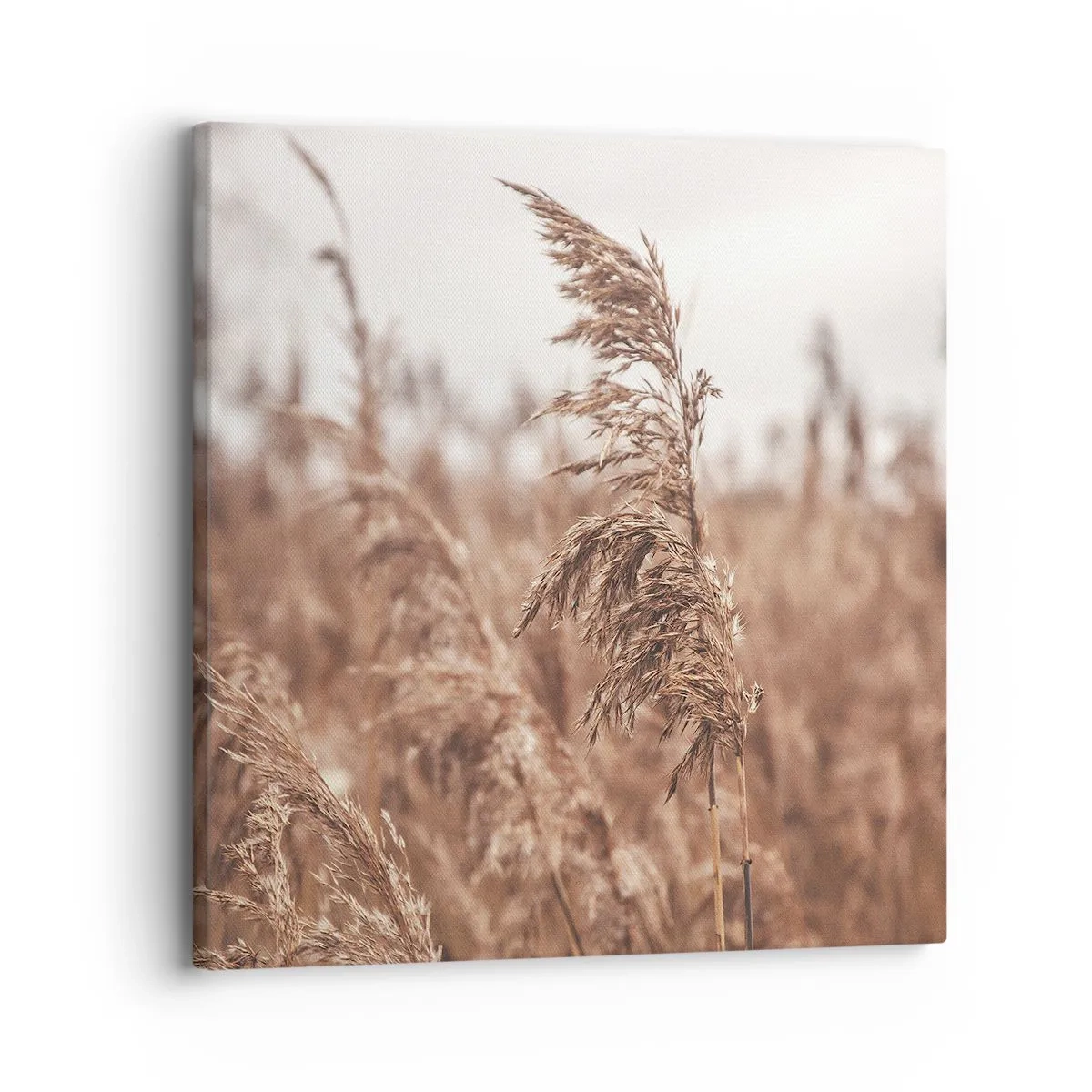 Bild auf Leinwand - Leinwandbild - Auf den Feldern ist es schon Herbst - 30x30 cm