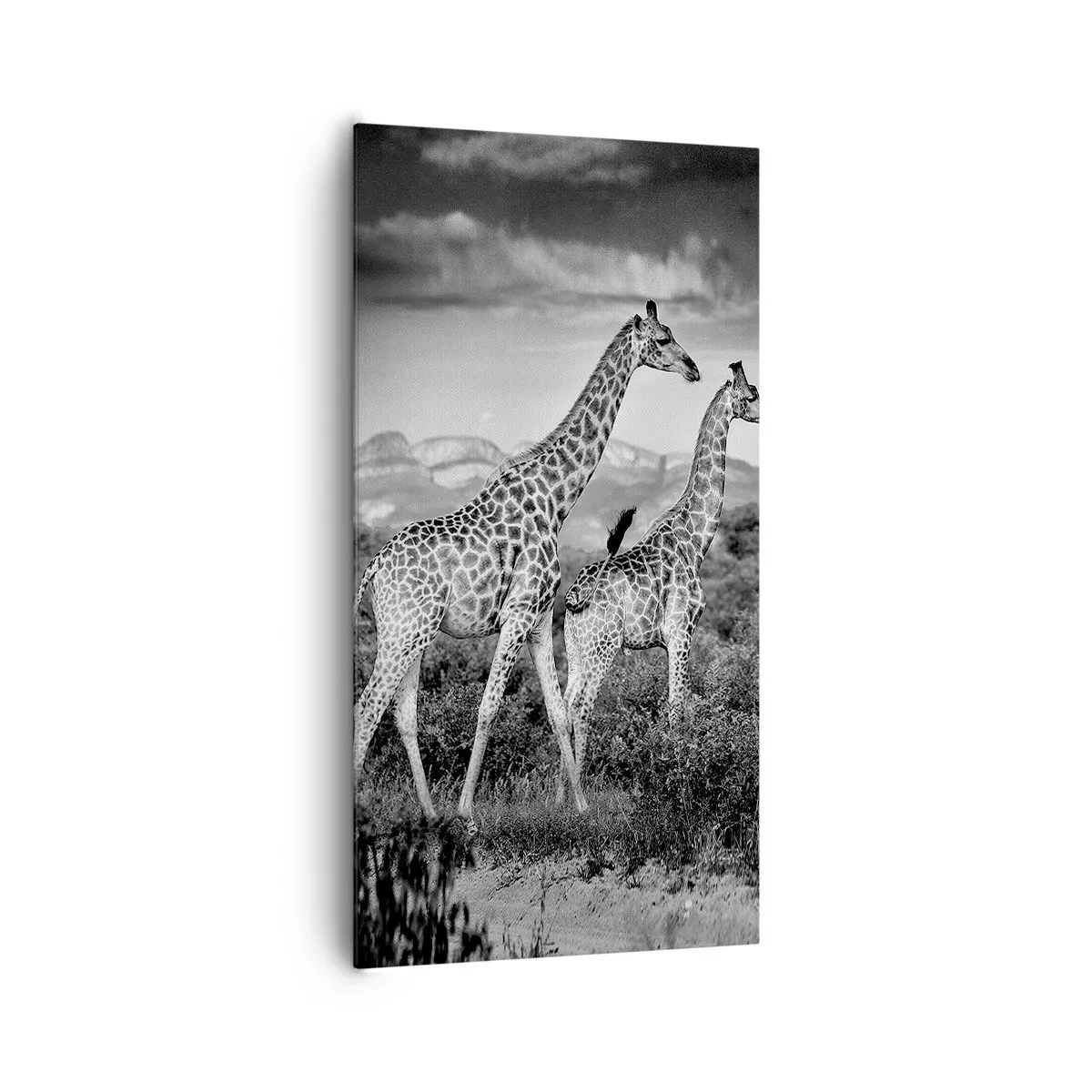 Bild auf Leinwand - Leinwandbild - Hohe Sphären in Afrika - 65x120 cm