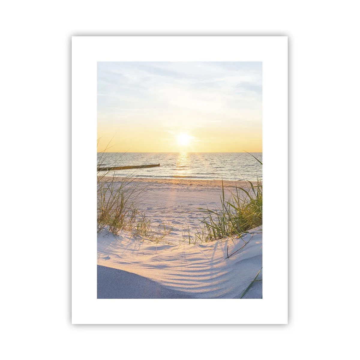 Poster - Das Rauschen des Meeres, der Gesang der Vögel, ein wilder Strand im Gras ... - 30x40 cm