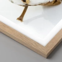 Helle Eiche