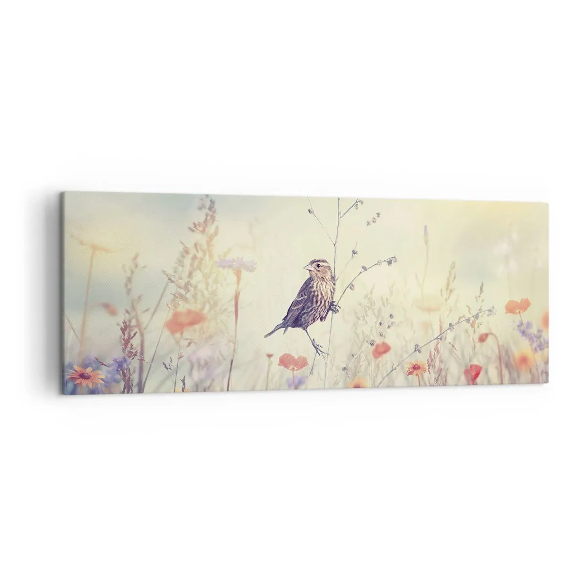 Bild auf Leinwand - Leinwandbild - Ein Vogel vor dem Hintergrund einer bunten Wiese in Pastellfarben - 140x50cm - Vogelporträt mit einer Wiese im Hintergrund - Moderne Wanddekoration für Wohnzimmer und Schlafzimmer ARTTOR